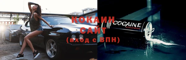 индика Кодинск