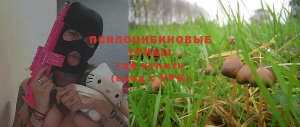 прущие грибы Козельск