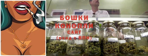 индика Кодинск