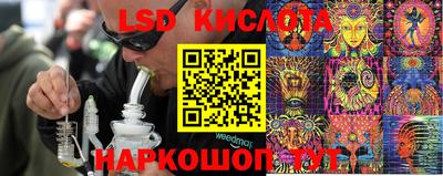прущие грибы Мариинск