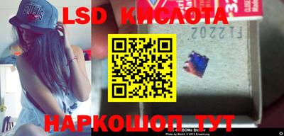 прущие грибы Мариинск