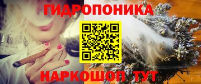 индика Малгобек