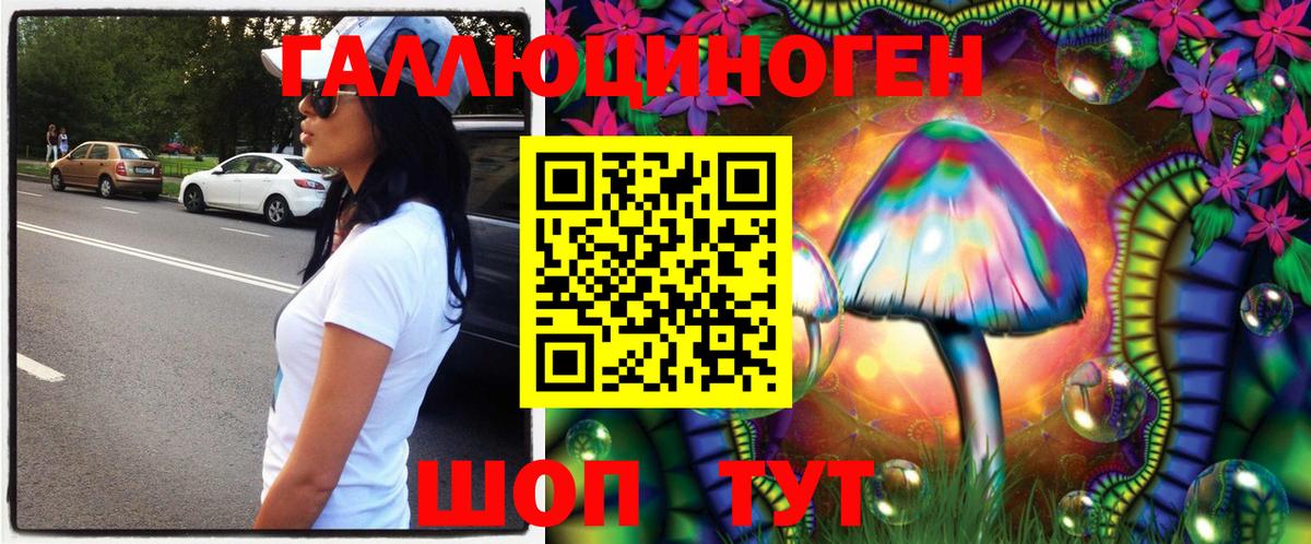 Рузаевка  Галлюциногенные грибы GOLDEN TEACHER  Псилоцибиновые грибы MAGIC MUSHROOMS  Вход с VPN 