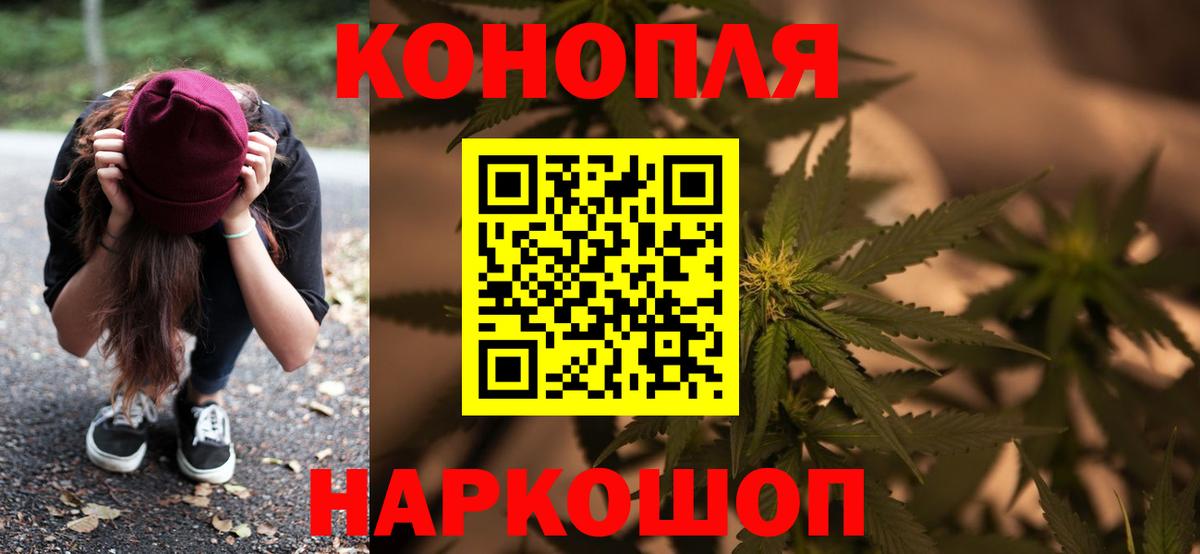 Бошки Шишки планчик Рузаевка